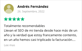 review seo andres fernandez